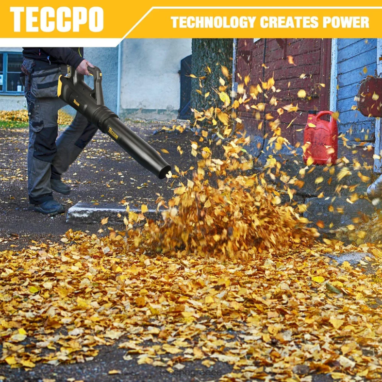 περιποίηση κήπου TECCPO φυσητήρας φύλλων μπαταρίας 20v RHHV55
